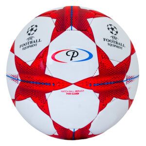 Premier Glider Soccer Ball Size 5