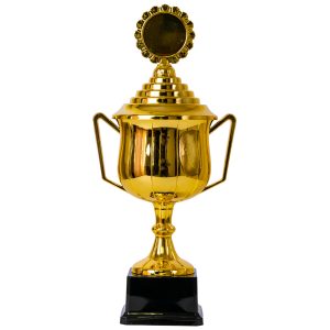 Plastic Trophy Incl Fig, Gold, Large, 30Cm