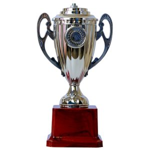 Plastic Trophy Incl Fig, Silver, Small, 20Cm