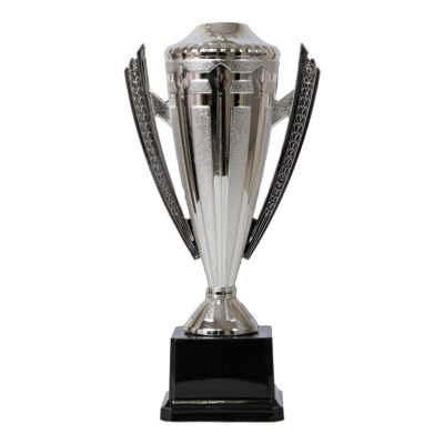 Plastic Trophy Incl Fig, Silver, Large, 28Cm
