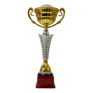 Plastic Trophy Incl Fig, Gold, Large, 40Cm