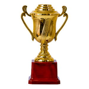 Plastic Trophy Incl Fig, Gold, Medium, 20Cm