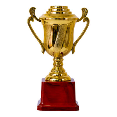 Plastic Trophy Incl Fig, Gold, Medium, 20Cm