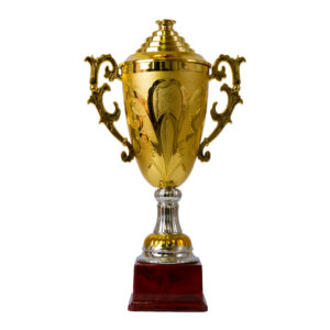 Plastic Trophy Incl Fig, Gold, Small, 34Cm