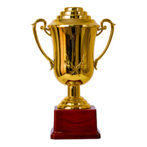 Plastic Trophy Incl Fig, Gold, Large, 25Cm